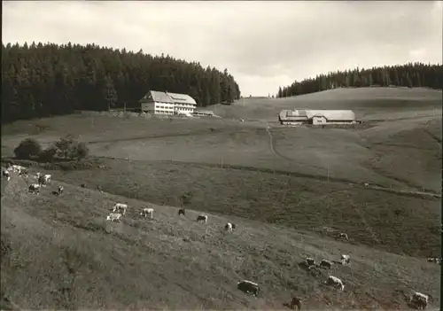 Geschwend Berggasthof Pension Gisiboden *