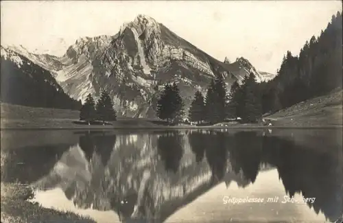 Schafberg Schafberg Graeppelensee x /  /