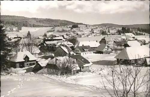 Haeusern Schwarzwald *