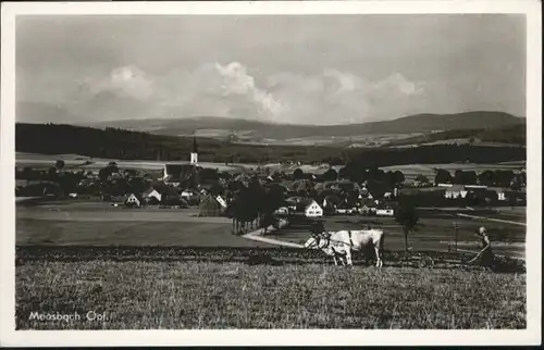 Moosbach Kuehe Ackerpflug *