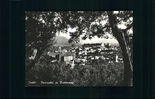 Spello Spello Fontemonte x / Italien /Italien