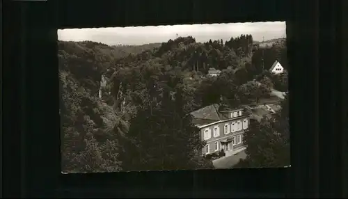 AK / Ansichtskarte Hohenfels Waldshut Gasthaus Pension  *