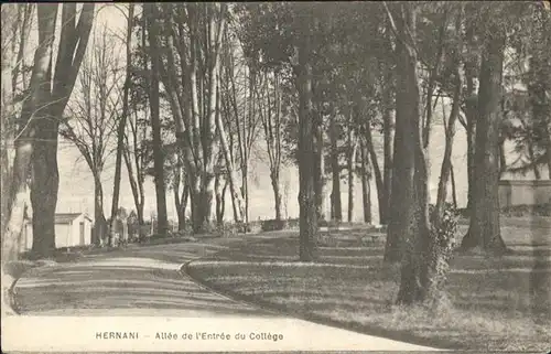 AK / Ansichtskarte Hernani Allee de l'Entree du College x