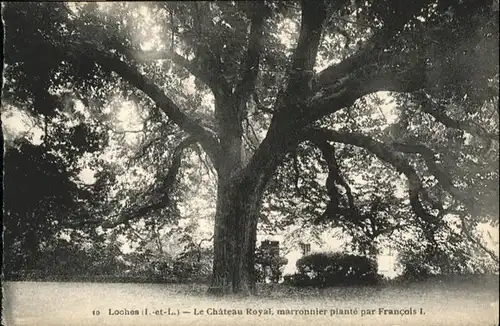 Loches le Chateau Royal  /  /