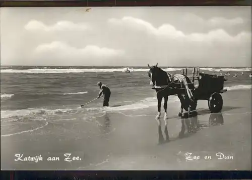 AK / Ansichtskarte Katwijk Zee Pferd / Niederlande /Niederlande