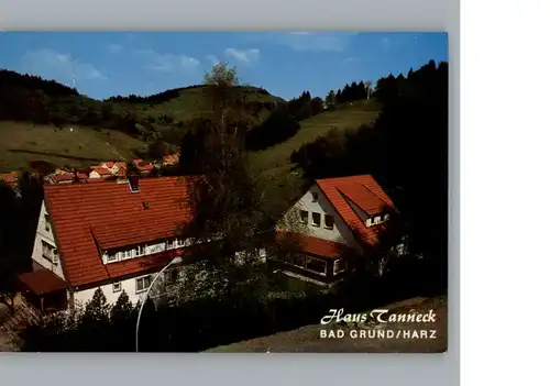 Bad Grund Pension Haus Tanneck /  /