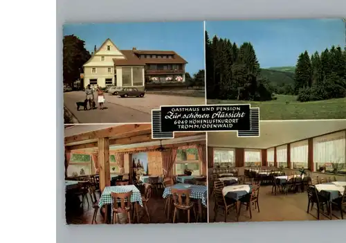 Tromm Gasthaus - Pension Zur Schoenen Aussicht /  /