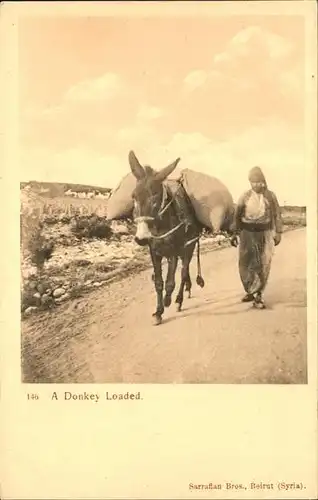 Esel Donkey Loaded Kat. Tiere