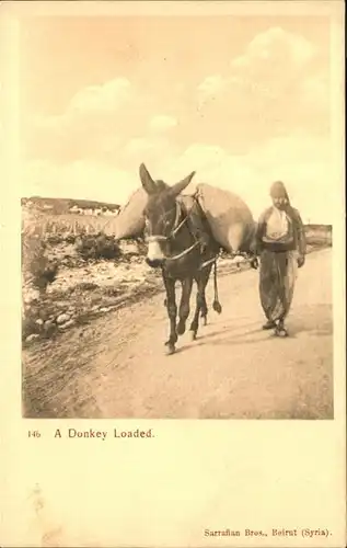 Esel Donkey Loaded Kat. Tiere