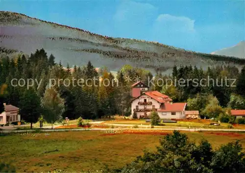 Lohberg Lam Gaestehaus Karolina Kopp Bayerischer Wald Kat. Lohberg