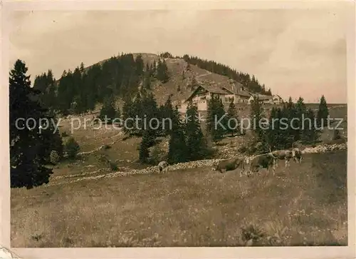 AK / Ansichtskarte Les Loges Val de Ruz Hotel Tete de Ran Kat. Les Loges