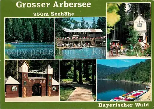 AK / Ansichtskarte Arbersee Muehle Seepartie Kat. Bayerisch Eisenstein