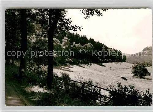 AK / Ansichtskarte Fohlenplacken Hotel Alte Muehle Kat. Holzminden