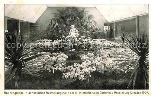 AK / Ansichtskarte Dresden Azaleengruppe in der Ausstellungshalle Gartenbau Ausstellung 1907 Kat. Dresden Elbe