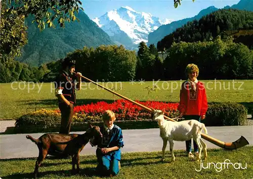 AK / Ansichtskarte Alphorn Alphornblaeser Ziegen Interlaken Jungfrau  Kat. Musik