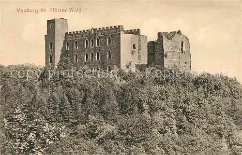 AK / Ansichtskarte Neustadt Haardt Maxburg Kat. Neustadt an der Weinstr.