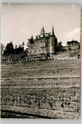 AK / Ansichtskarte Neustadt Haardt Schloss Kat. Neustadt an der Weinstr.