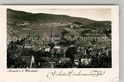 AK / Ansichtskarte Neustadt Weinstrasse Panorama Kat. Neustadt an der Weinstr.