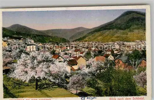 AK / Ansichtskarte Neustadt Haardt Panorama  Kat. Neustadt an der Weinstr.