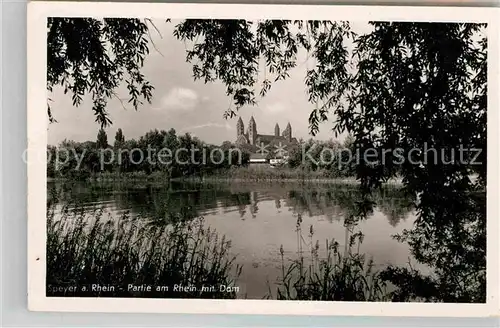 AK / Ansichtskarte Speyer Rhein Partie am Rhein mit Dom  Kat. Speyer