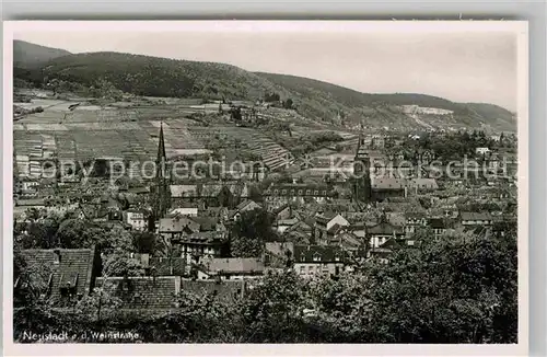 AK / Ansichtskarte Neustadt Weinstrasse Panorama  Kat. Neustadt an der Weinstr.