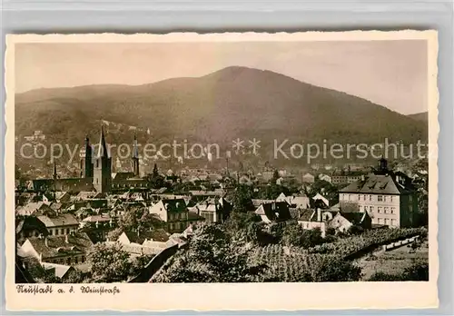 AK / Ansichtskarte Neustadt Weinstrasse Panorama  Kat. Neustadt an der Weinstr.