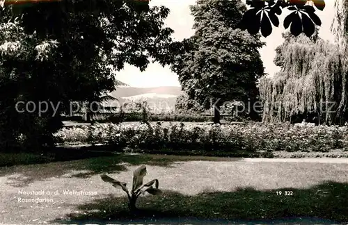 AK / Ansichtskarte Neustadt Weinstrasse Rosengarten Kat. Neustadt an der Weinstr.