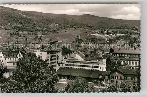 AK / Ansichtskarte Neustadt Weinstrasse Panorama  Kat. Neustadt an der Weinstr.