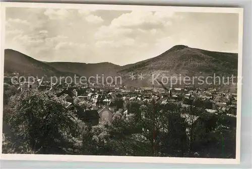 AK / Ansichtskarte Neustadt Haardt Panorama  Kat. Neustadt an der Weinstr.