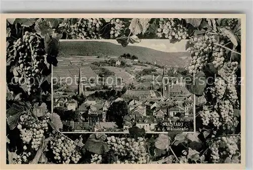 AK / Ansichtskarte Neustadt Weinstrasse Panorama  Kat. Neustadt an der Weinstr.