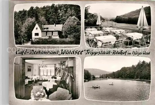 AK / Ansichtskarte Trippstadt Neuhof Cafe Restaurant Waldsee Terrasse Gaststube