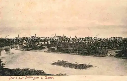 AK / Ansichtskarte Dillingen Donau Panorama Kat. Dillingen a.d.Donau