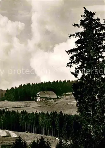 AK / Ansichtskarte Breitnau Hohlengraben Gasthaus Kreuz Kat. Breitnau