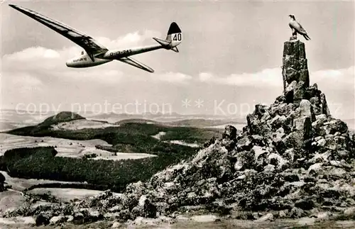 AK / Ansichtskarte Segelflug Wasserkuppe Rhoen Fliegerdenkmal  Kat. Flug