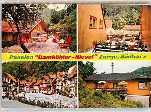 AK / Ansichtskarte Zorge Pension Damkuehler Niesel  Kat. Zorge