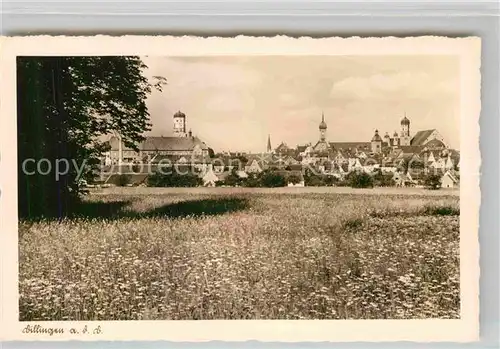 AK / Ansichtskarte Dillingen Donau Panorama  Kat. Dillingen a.d.Donau