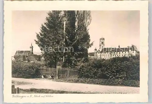 AK / Ansichtskarte Dillingen Donau Schloss Kat. Dillingen a.d.Donau