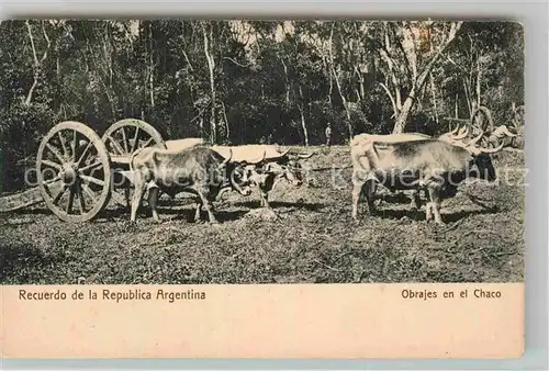 AK / Ansichtskarte Argentinien Ochsengespann Kat. Argentinien