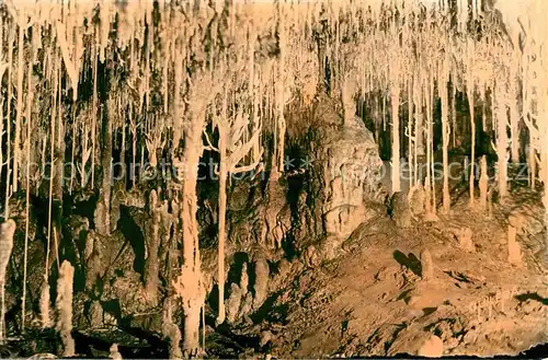 AK / Ansichtskarte Hoehlen Caves Grottes Cuevas de Manacor Mallorca Capricho estalactitico  Kat. Berge