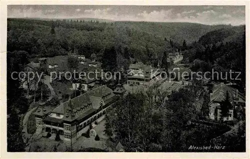 AK / Ansichtskarte Alexisbad Harz Panorama Kat. Harzgerode