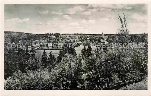 AK / Ansichtskarte Friedrichsbrunn Harz Panorama Kat. Friedrichsbrunn