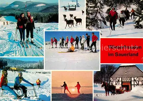 AK / Ansichtskarte Sundern Sauerland Gasthaus Pension Franz Steinberg Skipiste Pferdeschlitten Kat. Sundern (Sauerland)