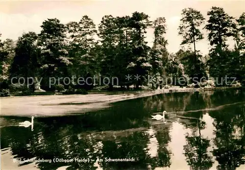 AK / Ansichtskarte Bad Schmiedeberg Am Schwanenteich Kat. Bad Schmiedeberg Duebener Heide