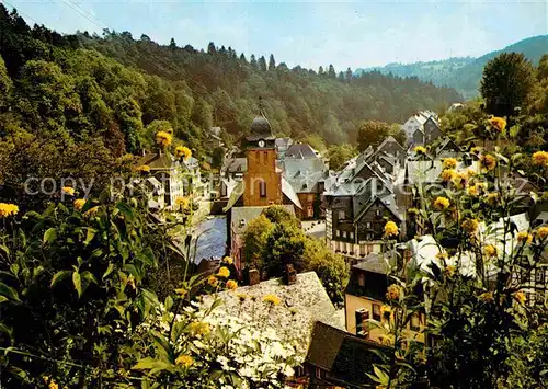 AK / Ansichtskarte Monschau Teilansicht  Kat. Monschau