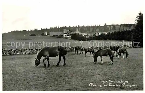 AK / Ansichtskarte Saignelegier Chevaux des Franches Montagnes Kat. Saignelegier