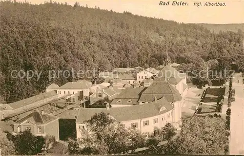 AK / Ansichtskarte Bad Elster Albertbad Kat. Bad Elster