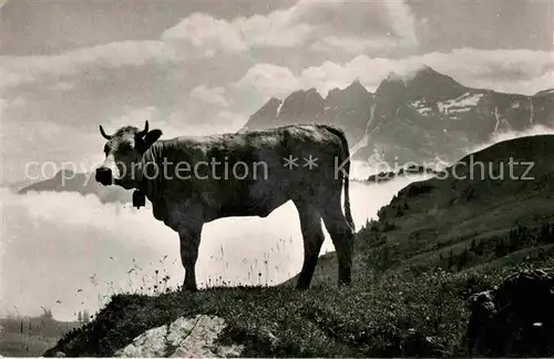 AK / Ansichtskarte Kuehe Champery Dents du Midi Dessus du Vallon  Kat. Tiere