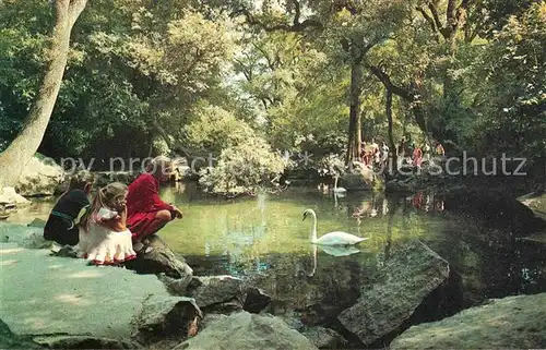 AK / Ansichtskarte Alupka Schwanenteich Park