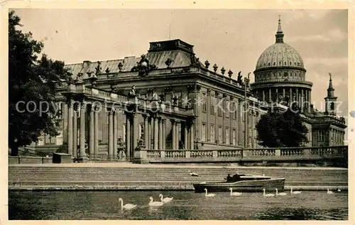 AK / Ansichtskarte Potsdam Stadtschloss mit Bittschriftenlinde Kat. Potsdam