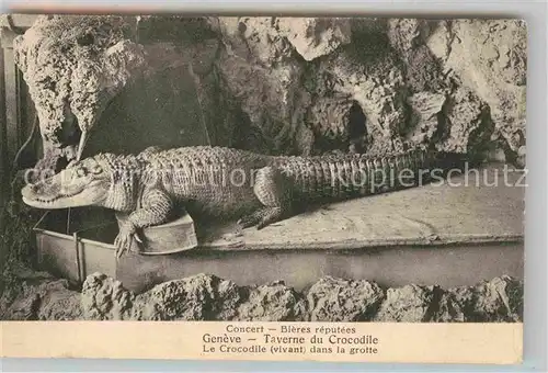 AK / Ansichtskarte Krokodile Geneve Taverne du Crocodile Grotte  Kat. Tiere